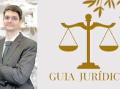 A NOVA ERA DA LIBERDADE CONTRATUAL: O STF E A RECONFIGURAÇÃO DAS RELAÇÕES DE TRABALHO