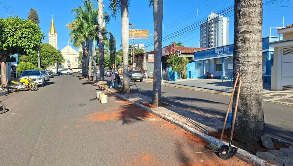 canteiro-central-da-avenida-tabajaras