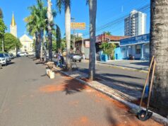 Secretaria de Obras inicia calçamento do canteiro central da avenida Tabajaras