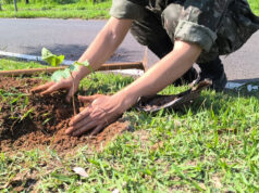 Meio Ambiente celebra Dia da Árvore com plantio de 500 mudas