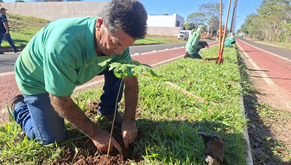 secretaria-de-meio-ambiente-de-tupa